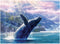 Cobble Hill 1000 Piece Puzzle - Leviathan of Glacier Bay with Sample Poster Included