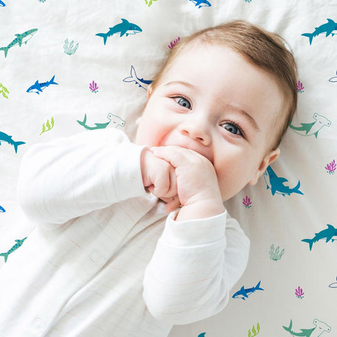 100% Wildkin Cotton Fitted Crib Sheet Soft & Breathable Fitted Sheet (Shark Attack)
