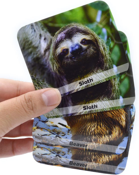 Menique Wild Animals Memory Matching Game, 80 Cards with Real Photos, Educational Booklet Included for Kids & Adults