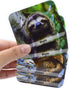 Menique Wild Animals Memory Matching Game, 80 Cards with Real Photos, Educational Booklet Included for Kids & Adults