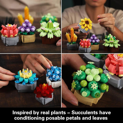 Set Sets, 12 (1174 Succulents for Adults Building Plants, Home Decor, Birthday Gifts for Women, Creative Housewarming