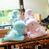 Cute Pink Dinosaur Plush Toys, Fat Stuffed Animals Dolls, Soft Dino Plushie, 12 inch Birthday Gifts for Kids Boys Girls