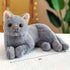TUKVESZE 12 inch Gray Cat Plush Soft Plush Cat Toy, Realistic Black Cat Stuffed Animal Gifts for Boys and Girls (Gray)
