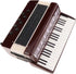 Dselvgvu Miniature Accordion with Case, Collectible Musical Instrument Replica for Dollhouse Decoration (Red)