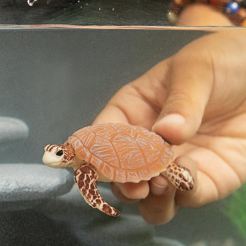 Schleich Wild Life New 2024 Wild Animal Toy, Hawksbill Sea Turtle Ocean Animal Figurine