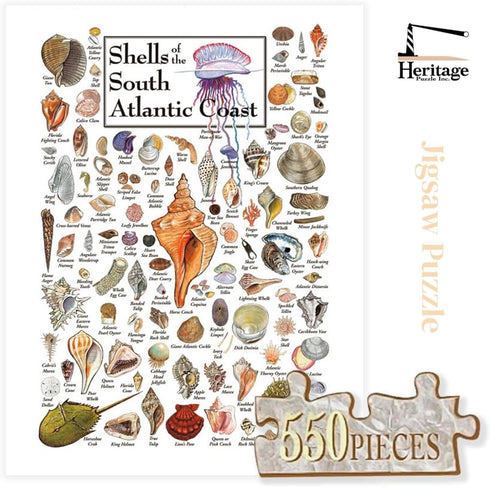 550 18" 24" Heritage Puzzle - Shells of The South Atlantic Coast by John & Jackie Leatherbury Douglass Piece Puzzles