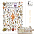 550 18" 24" Heritage Puzzle - Shells of The South Atlantic Coast by John & Jackie Leatherbury Douglass Piece Puzzles