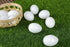 Dong Huang 10pcs Eggs37mm*27mm Solid Parrot Plastic Fake Eggs Realistic, Simulated Fake Bird Eggs for Hatching, Mini