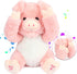 Cuteoy Peek A Boo Pig Plush Toy, Interactive Electric Stuffed Animal, Singing Talking Musical Gift, 11''