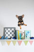 Winston & Bear 3D Dog Stickers, 2 Pack, Toy Terrier Puppy for Wall, Fridge, Toilet and More