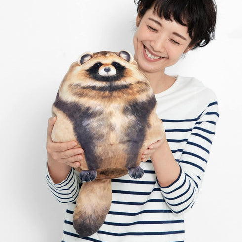 Sew Butiful 10" Raccoon Plush, Raccoon Stuffed Animal, Cute Plushies for Girls, Soft Plush Pillow, Kitten Throw Pillow