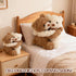 Hugging Teddy Bears, Two Hugging Teddy Bears Stuffed Animals for Couple Girlfriend Girls Kids with Paw Hook and Loop