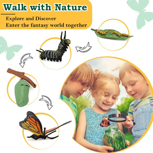 Life Cycle Learning Toys for Kids - Life Science Education Kits with 25 Pieces Animal Figurines: Butterfly, Frog,