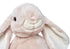 DILLY DUDU 14-Inch Beige Bunny Rabbit Stuffed Animal Plush Toy Best Gifts