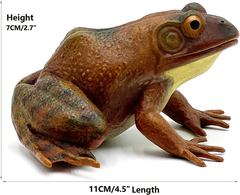 Gemini&Genius Tree Frog Realistic Hand Painted Toy, Backyard Decor, Carnival Game, Educational Gifts for Ages 3+