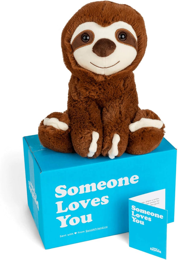 SendAFriend Sam The Sloth Stuffed Animal Care Package, Someone Loves You Box,