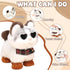 Jimate Interactive Walking Cat Plush Toy with Leash Electronic Kitty Pet That Meows and Wags Tail, Soft Stuffed Animal