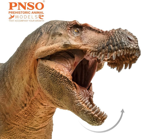 PNSO Prehistoric Dinosaur Models - 58 Luxiong The Zhuchengtyrannus