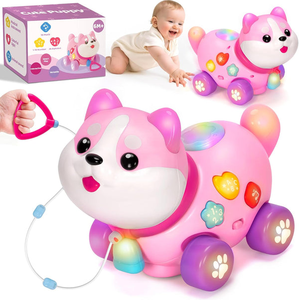 Toys for 1 Year Old Girl Gifts, Baby Toys 6-12-18 Months, Bilingual
