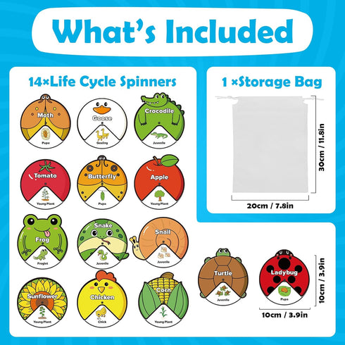 Life Cycle Toys for Kids, Animal Plant Insect Bug Kit, Montessori Learning Activities for Toddlers