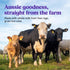 365 0-12 20 oz Bubs Day Grass Fed Infant Formula with Iron, Cow Milk-Based Powder for Infants Months, Made with Non-GMO