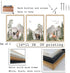 LuZhiQiang Set 3 16x11 Inch Of Wild Woodland Nursery Animals Wall Art Decor Safari Foggy Forest Deer Bear Fox Posters