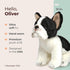 Bearington Collection Oliver The French Bulldog Plush Stuffed Animal, 13 Inch