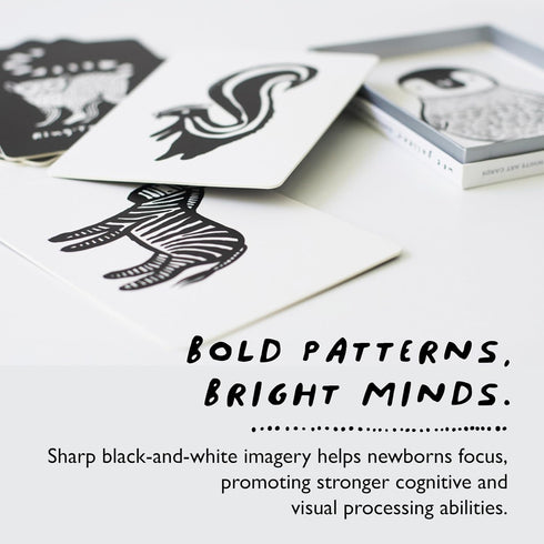 Wee Gallery Art Cards for Baby - Durable High Contrast Black and White Animal Flashcards for Newborns, Sensory Toys,