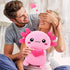 Toys,14 Achwishap Axolotl Plush,Axolotl Stuffed Animal Plush Salamander Plushie,Cute Plushies Soft Newt Plushy Kawaii