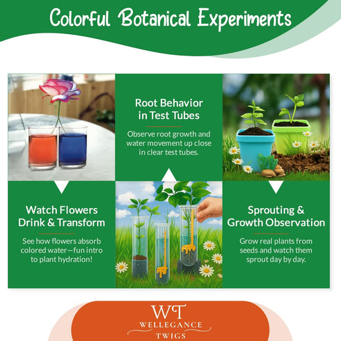 Wellegance Twigs 8-12 19 Set Plant Science Kit for Kids Ages | STEM Educational Gift with Experiments | Grow Real