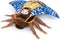 Death's-Head Hawkmoth Plush Toy, Giant Blue Death Hawk Moth Stuffed Animal 26in, Unique Plush Gift Collection
