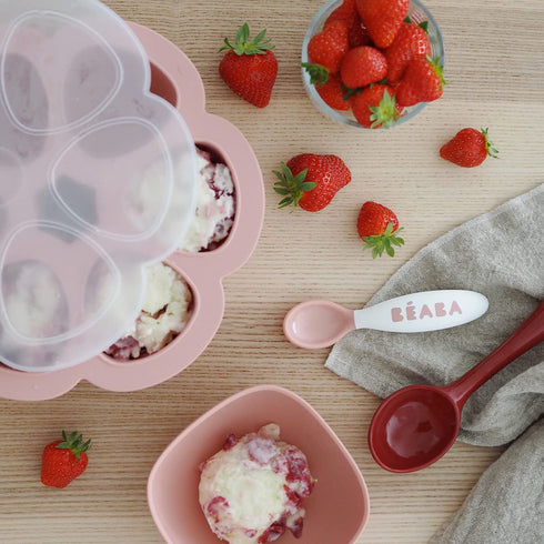 3 oz BEABA Multiportions Premium Quality Silicone Baby Food Freezer Tray with Clip On Lid, Baby Food Storage Container