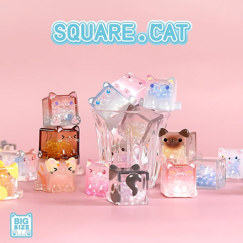 NBBRDDN (3 Square Cat Series Blind Box Figures per Box) Random Design Action Figure Cute Animal Blind Bag Collectible