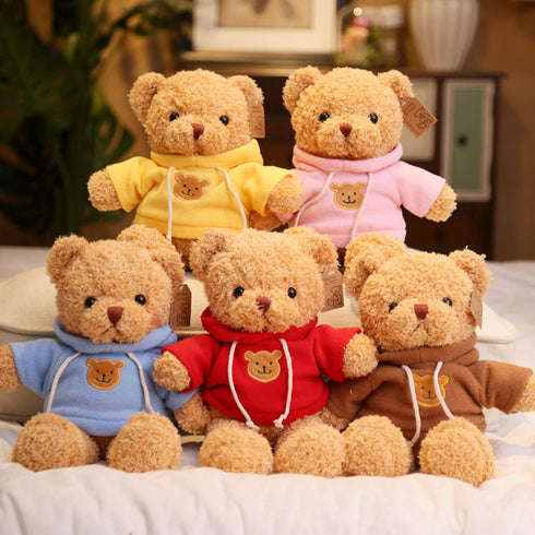 11.8 inches Teddy Bear Stuffed Animals - Soft Plush Cute Teddy Bear with Hoodie Doll for Boys Girls (Blue)