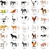 ONEST 30 Pieces Mini Farm Animal Figurines Playset, Hand Painted Tiny Realistic Plastic Puppy Figures for Kids