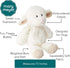 13-Inch Mary Meyer Marshmallow Zoo Lamb Soft Toy