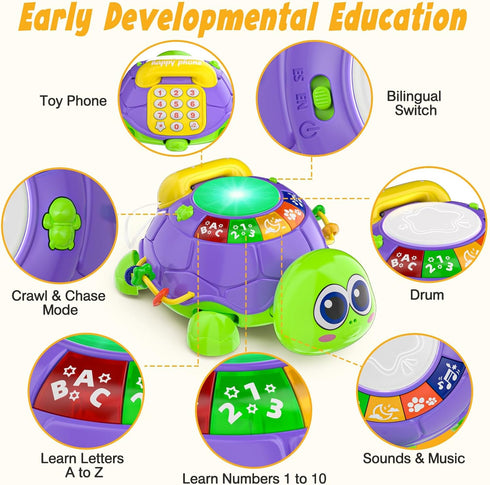 6-12 Tummy 12-18 3-6 4 5 7 8 9-12 INNOSKY Baby Toys Months, Musical Turtle Crawling Time Development Light up Infant