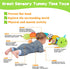 Baby Sensory Toy 0-3 Month Music Animal Stuffed Plush Caterpillar Toy for Infant 0-3-6 Month Tummy Time with Baby Mirror Crinkle Rattle for 6-12 Month Texture Toy for Boys Girls Newborn Birthday Gifts
