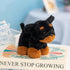 Cute Black Rottweiler Plush Toy - Small Stuffed Animal for Kids
