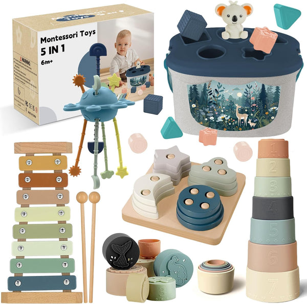 Montessori Toys for 6-12 Months, Baby Toys 6-12-18 Months with Baby Blocks