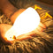 Cute Duck Night Light: LED Baby Silicone Duck Lamp - 7 Colors