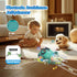 Tummy 3 4 5 6 7 8 Dancing Jellydancer Baby Toy, Crawling Infant Time Toy,Dancing Loud Music Crawling Walking Toys