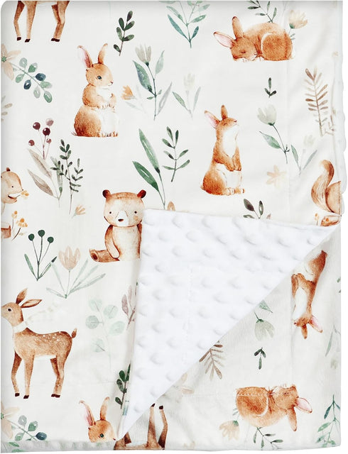 PHF Minky Baby Blanket, 40x50 Inches Reversible Crib Receiving Blanket for Girls, Soft Toddler Blanket with Double
