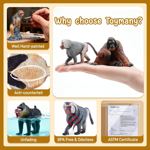 15PCS Set Toymany Monkey Primates Figurines, Plastic Jungle Animals Included Tree Monkey Ape Tree Chimpanzee Gorilla