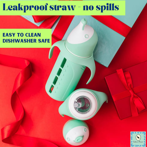Set 2 8 oz Tabor Place of - Glass Sippy Cup for Toddlers - The Luca | Spill-Proof | Silicone Straw | Mint Green