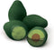 Genuine Fred Avocado Erasers, Set of 4, Green