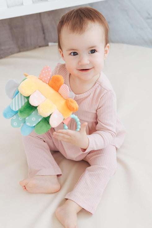 Pearhead 0m+, Hedgehog Sensory Toy, Plush Lovey with Crinkle Tabs and Silicone Teether for Babies Infant Development