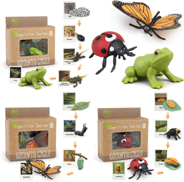 Montessori Life Cycle Learning Toys - Plastic Insect Ladybug, Butterfly & Tadpole-to-Frog Kit for Kids