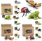 Montessori Life Cycle Learning Toys - Plastic Insect Ladybug, Butterfly & Tadpole-to-Frog Kit for Kids