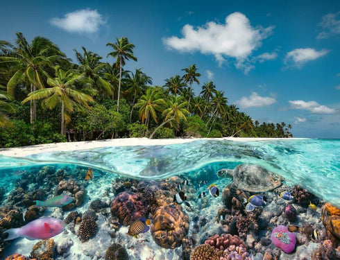 Ravensburger A Dive in The Maldives 2000 Piece Jigsaw Puzzle with Unique Softclick Technology for Adults & Kids